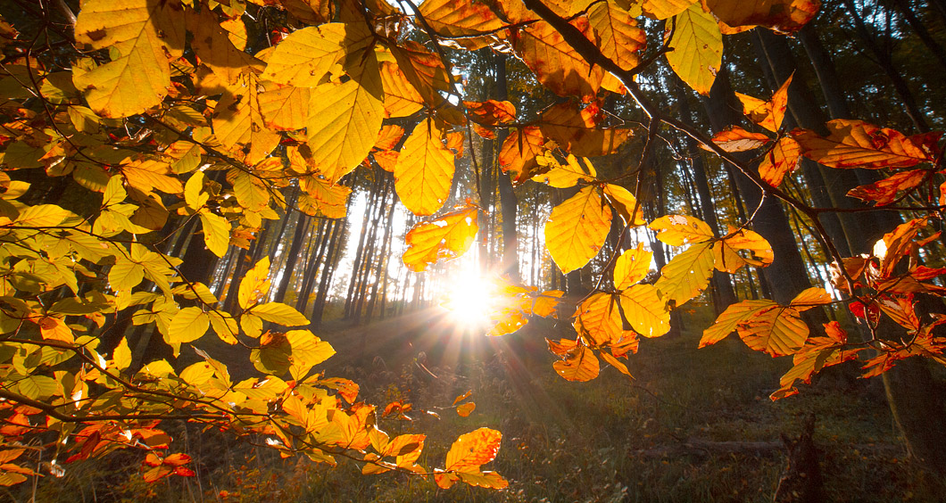 FOTO: Jesen je stigla u Dugačko brdo