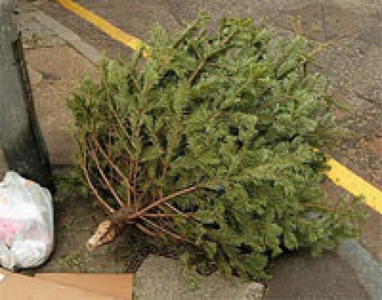 Komunalac poručuje: Ne ostavljajte božićna drvca ispred kuća, dopremite ih na ove lokacije