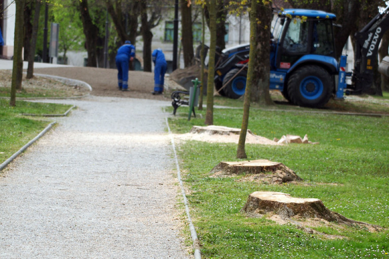 Komunalac uklanja stara i potencijalno opasna stabla iz gradskog parka, zamjenjuje ih novima