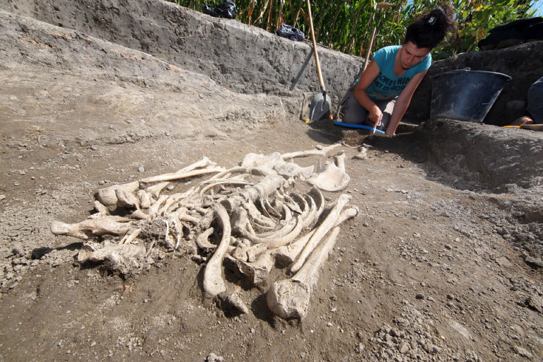FOTO Na polju kod Torčeca iz zemlje su izvirili stoljećima stari kosturi