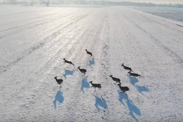 VIDEO Predivna zimska idila u Podravini kakvu još niste vidjeli