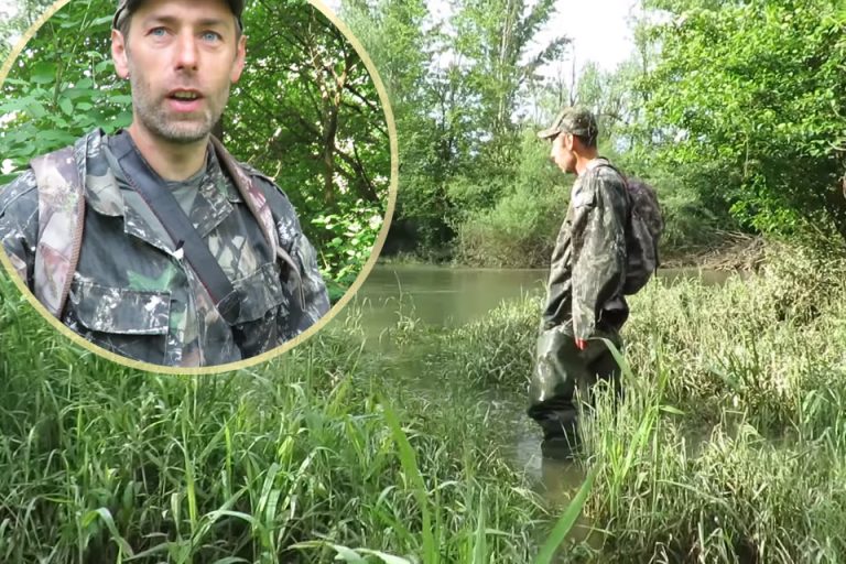 VIDEO Goran Šafarek prkosio je rojevima komaraca da nam pokaže divlju dravsku močvaru