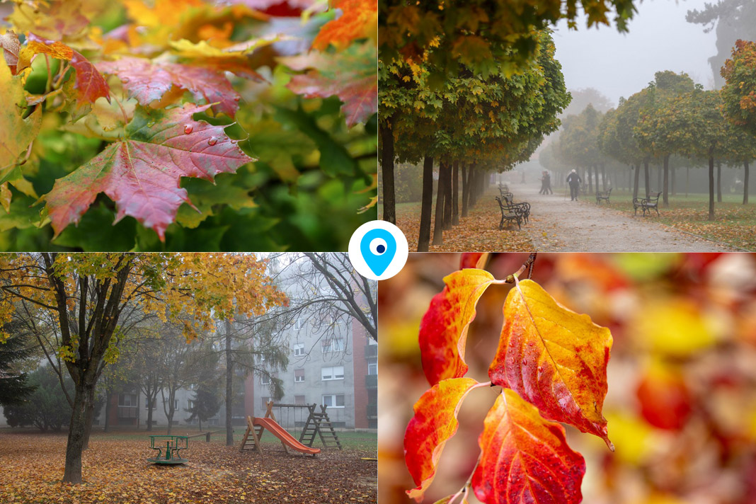 FOTO Prava maglovita i šarena jesen stigla je jutros u Koprivnicu, pogledajte veliku galeriju fotografija